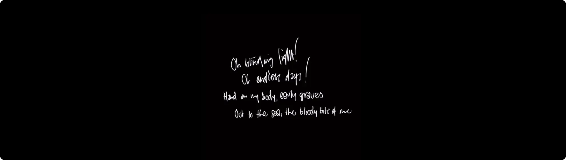 The lyrics that get overlaid on the polaroids.